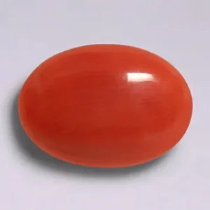 Red Coral  - 3.76 Carats