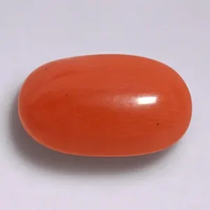 Red Coral - 3.51 Carats