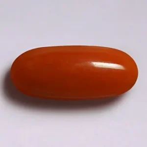 Red Coral - 3.67 Carats