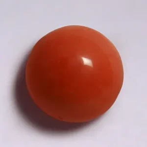 Red Coral - 3.68 Carats