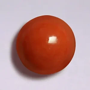 Red Coral  - 3.44 Carats