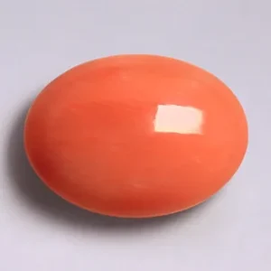 Red Coral  - 4.07 Carats