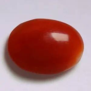 Red Coral - 1.43 Carats
