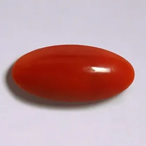 Red Coral - 3.30 Carats