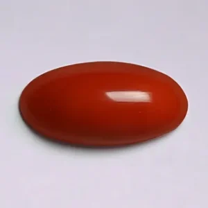 Red Coral - 3.48 Carats