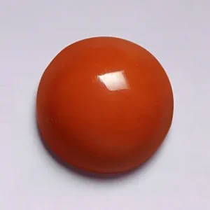 Red Coral  - 3.19 Carats