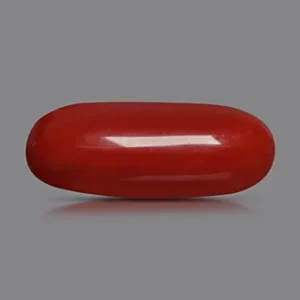 Red Coral - 3.54 Carats