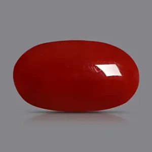 Red Coral - 3.81 Carats