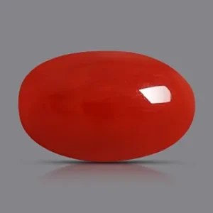 Red Coral - 3.40 Carats