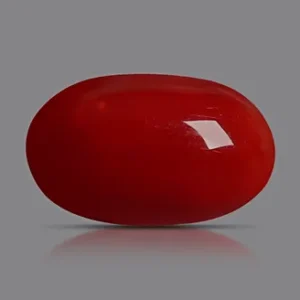 Red Coral - 3.36 Carats