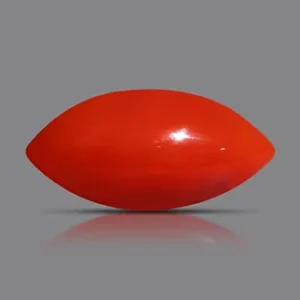 Red Coral - 3.78 Carats