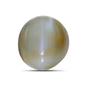Cat's Eye - 4.04 Carats