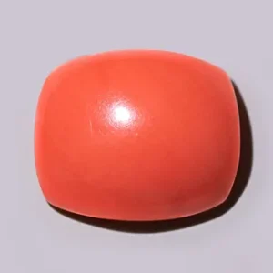 Red Coral  - 3.99 Carats