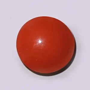 Red Coral  - 3.92 Carats