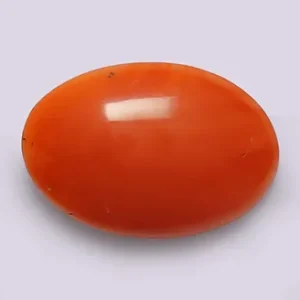 Red Coral - 3.72 Carats