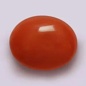 Red Coral- 3.24 Carats