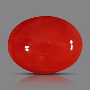 Red Coral - 3.59 Carats
