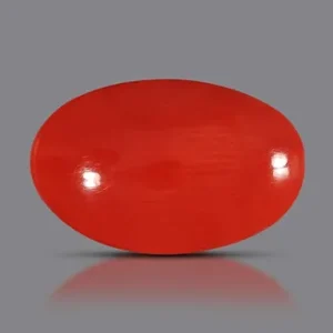 Red Coral - 3.45 Carats