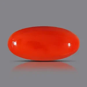 Red Coral - 3.71 Carats